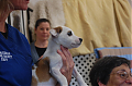 DSC 0036
