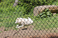 dsc 0016a