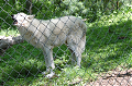 dsc 0013a